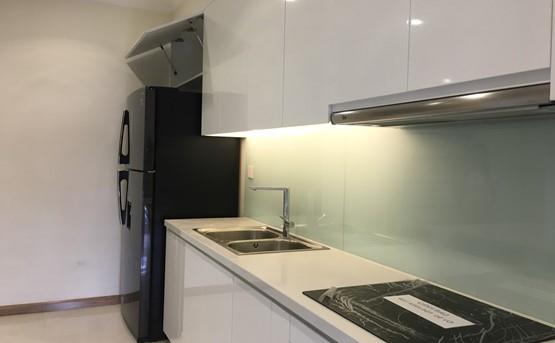 Apartment for rent in binh thanh district BT105L528 (3)